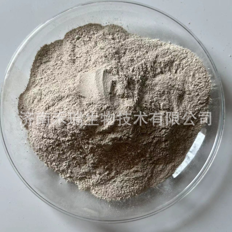 地衣芽孢杆菌  微生物菌粉  农业水产用 地衣芽孢杆菌