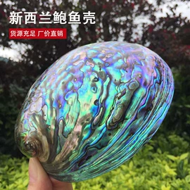 海螺/贝壳;酒杯;勺、调羹