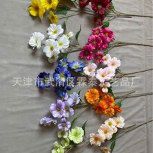 ��c���滨���^������������ĵ�����N��Y���b���·����ˇ����