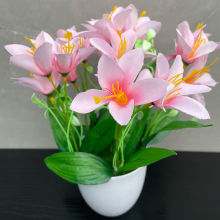 �ٺϷ��滨��Ҿ��b����ٻ��ƙ����Ҳ������b��ā�廨һ�θ㶨