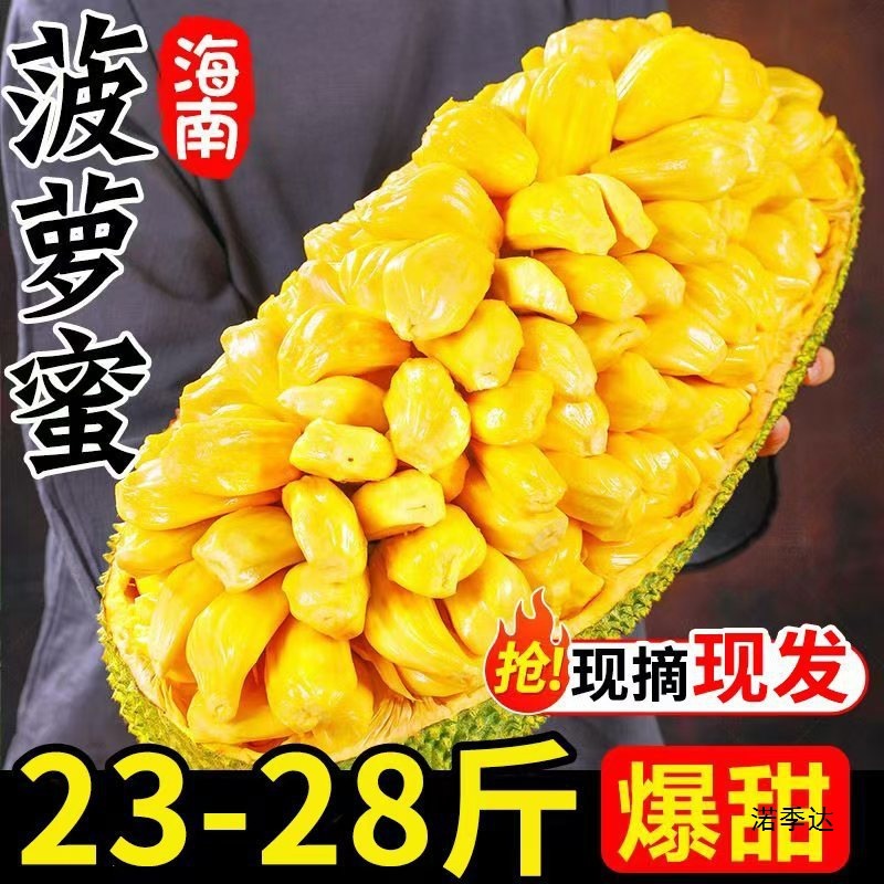 In stock seasonal Hainan Sanya jackfruit fresh fruit yellow flesh jackfruit fake durian whole with free shipping red