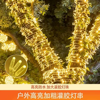 LED超高亮防水加粗加大山灯串灯满天星灌胶装饰绕树亮化灯串圣诞