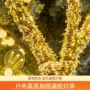 防水圣诞亮化led灯串