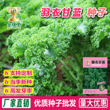 ���l���¸��{�N�������͟��ͺ��N���ļ��������˷N���߲˷N�Ӵ�ȫ