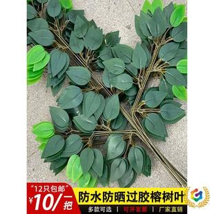 ���l?��̦�Ř��~�^�z���ϾGɫ�~���b��~��֦�^�z�Ř�٘�