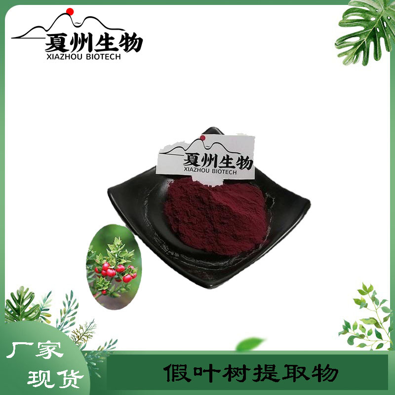 假叶树提取物 鲁斯克皂甙 10/20/30:1规格  夏州生物 现货 公斤装