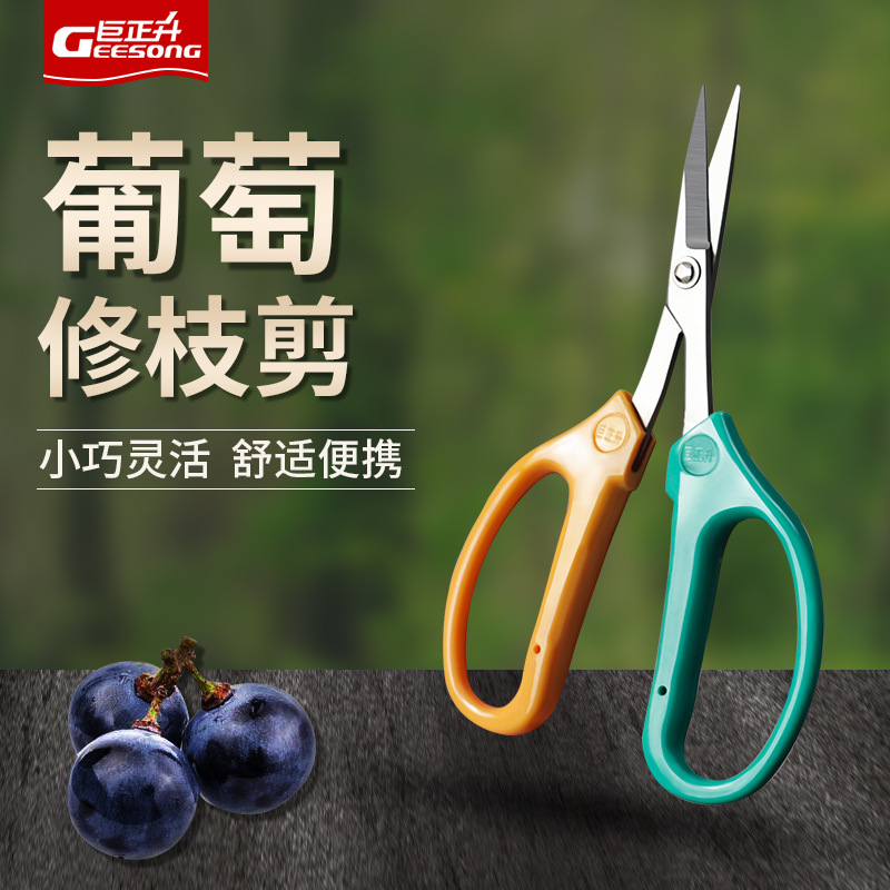 Venta directa de fábrica tijeras de árbol de frutas de uva recoger agua frutas y verduras florales tijeras de poda de jardín tijeras de reparación de acero inoxidable