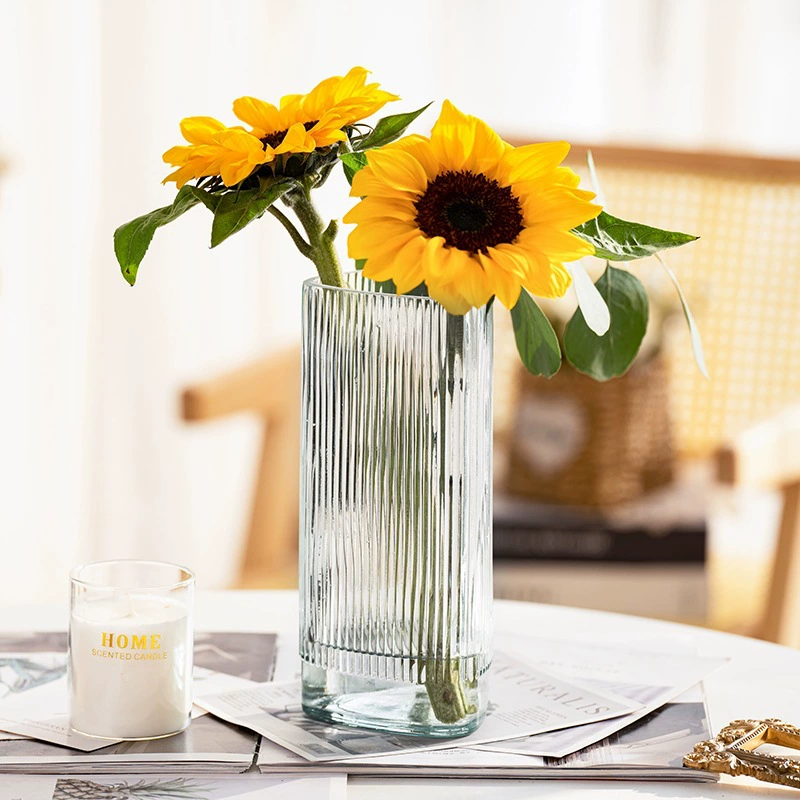 Европейский треугольник вертикальная полоса индивидуальность INS стеклянная ваза с гидропонными цветами