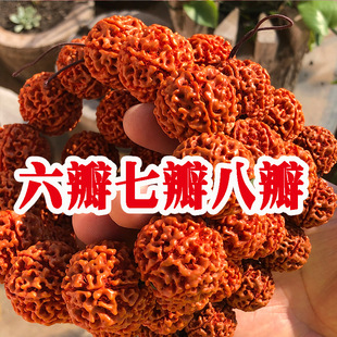 Ⱦɫ��ؼtӡ�����������ִ���Ů�����ӷ�������ֳ������߰˰�