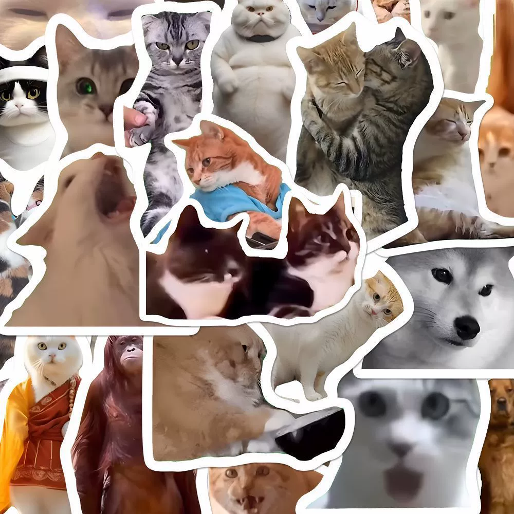 300 Paste Cat Meme Stickers Cute funny cat ins style emoticon pack picture material stickers