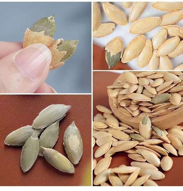 Roasted Pumpkin Seeds Large Kernels Salted Snack 460g Hand Peeled Open Shell specifications