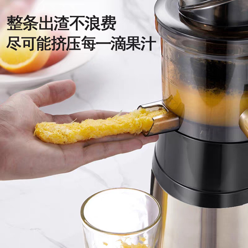 德国不锈钢榨汁机渣汁分离家用小型果蔬多功能商用原汁机炸果汁机|undefined