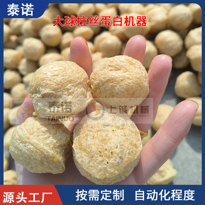 营养强化剂大豆组织蛋白生产线 球状片状碎屑状拉丝蛋白素肉设备