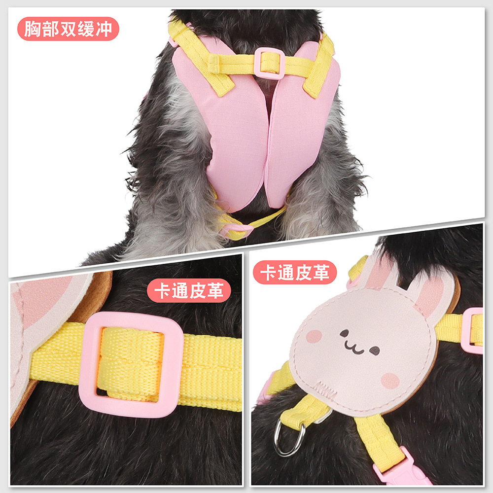 Personalizada explosión pet pet
