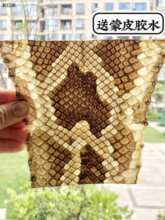 金花蟒皮尾部皮二胡皮潮州二弦皮坠琴皮二胡换皮维修