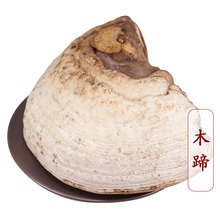 木蹄 500g  统  别名又称木蹄层孔菌