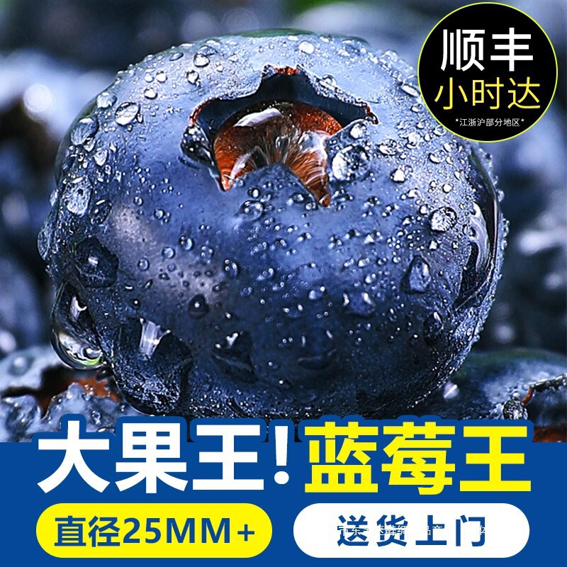 Blueberry Fresh Fruit Yunnan Floral Blueberry Fresh Fruit 10 Boxes of Extra Large Fruit Alpine Sweet Berries Whole Box Sf Blueberry Fresh Fruit Yunnan Floral Blueberry Fresh Fruit 10 Boxes of Extra Large Fruit Alpine Sweet Berries Whole Box Sf