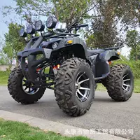 250cc вездеход на четырёх колесах для бездорожья, горный пляжный автомобиль, двухосный привод, аренда внедорожника