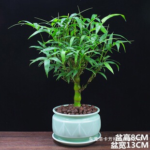 ��������Ժ��J���_�h���^�p�������̨�辰�k���҃�ֲ��͏d�Gֲ