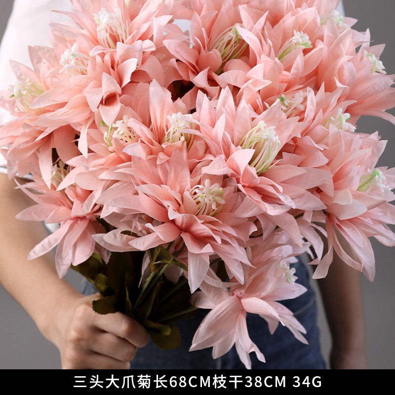 3 Large Claw Chrysanthemum