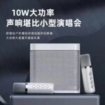 跨境YS203蓝牙音响家庭电视KTV一体机套装882/A829麦克风蓝牙音箱