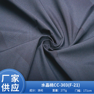 ˮ����CC-303 F-21��]���϶��ƝL�T��ˇ�A����q����ʿ���b����