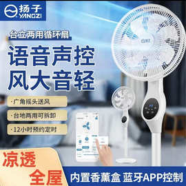 空气循环扇电风扇落地扇立式家用风大遥控风扇台式电扇外贸可做