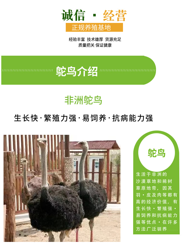 O1CN01qv60wJ1k00e4rEkwD_!!3564