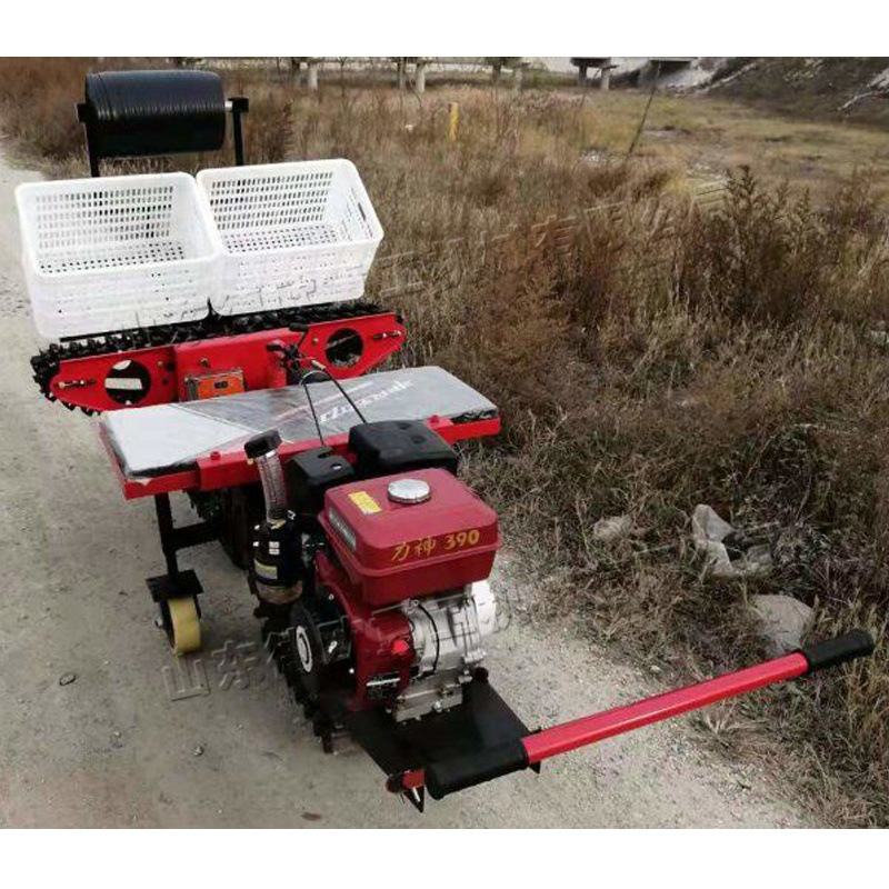 农用双行大葱移栽器 拖拉机后置式大葱种植机 乘坐式大葱栽苗机