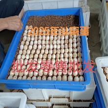 �������ܾ��ɷ����������{�������������������Bֳ��һ�����l���l