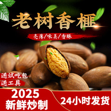 �����2025���r�����T�ߗ����خa��ӛ��鼹����b���b�Թ���ʳ