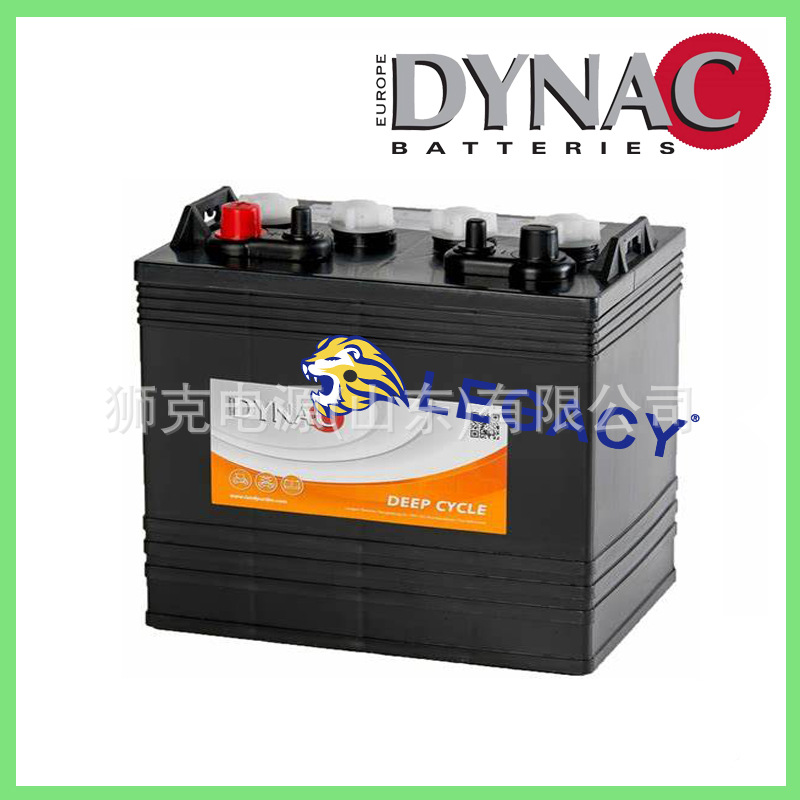 DYNAC蓄电池8V175Ah深循环工业电池 M8V 875高尔夫球车洗地机电瓶
