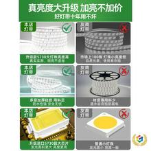 ?led220v͏dT^⠝ˮܛlð׹⾀l