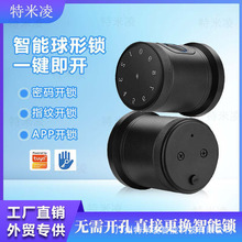 智能锁远程密码锁球形锁公寓酒店出租房指纹刷卡室内门锁厂家现货