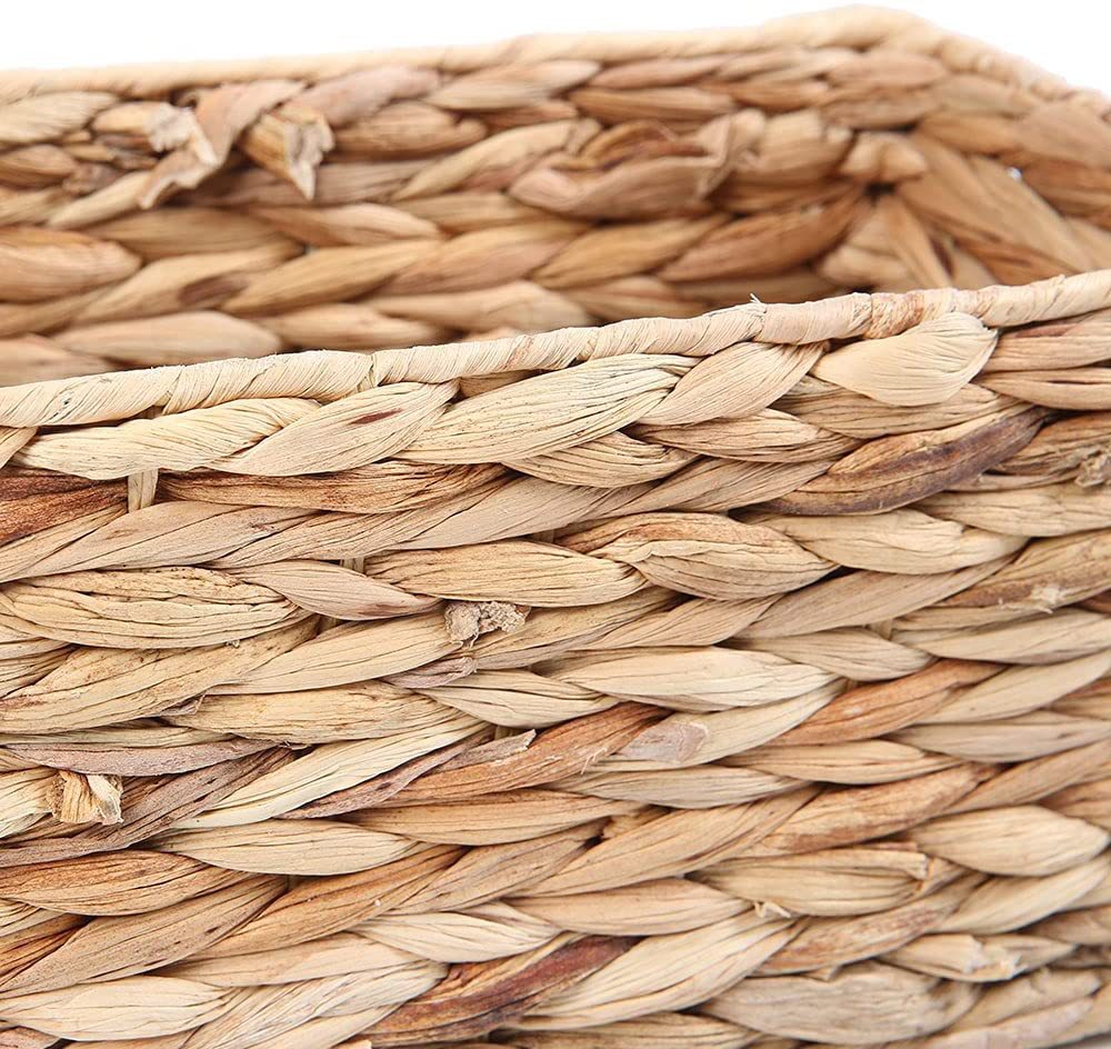 71t1nsTEG+L__AC_SL1000_