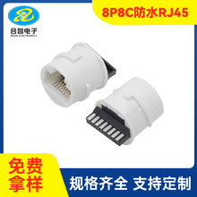 ˮRJ45ĸʽ 8P8CRJ45ⰲz^÷ˮWڲ