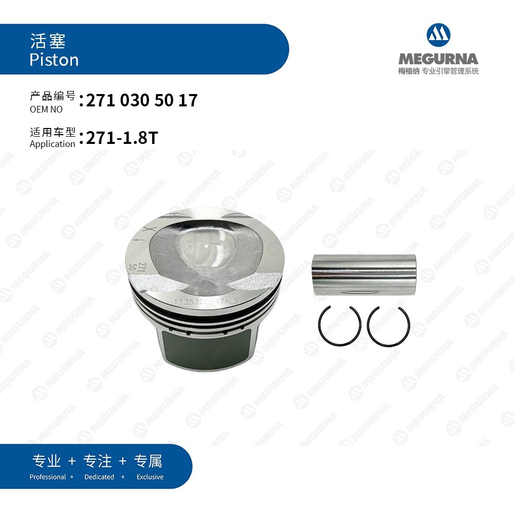 2710305017/Benz 271 new piston ring/001PI0016300/WG2043236/KS8579