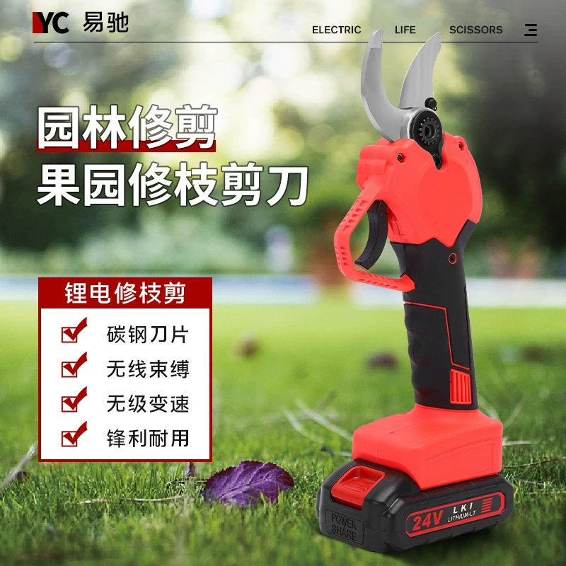 Трансграничная торговля Специальное предложение с дисплеем