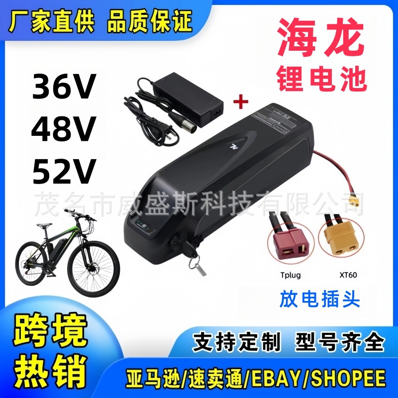 跨境48V海龙一号二型动力锂电池组36V电动车锂电池山地自行车52V