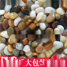 Zůʯ50Zʯ·䁵ͥԺ@쾰껨ʯԭܛһ