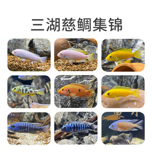 ���������~�Ꭷ�^�p�~��С�͵�ˮ���B�ͻ��җ��R��̹���s���~���w