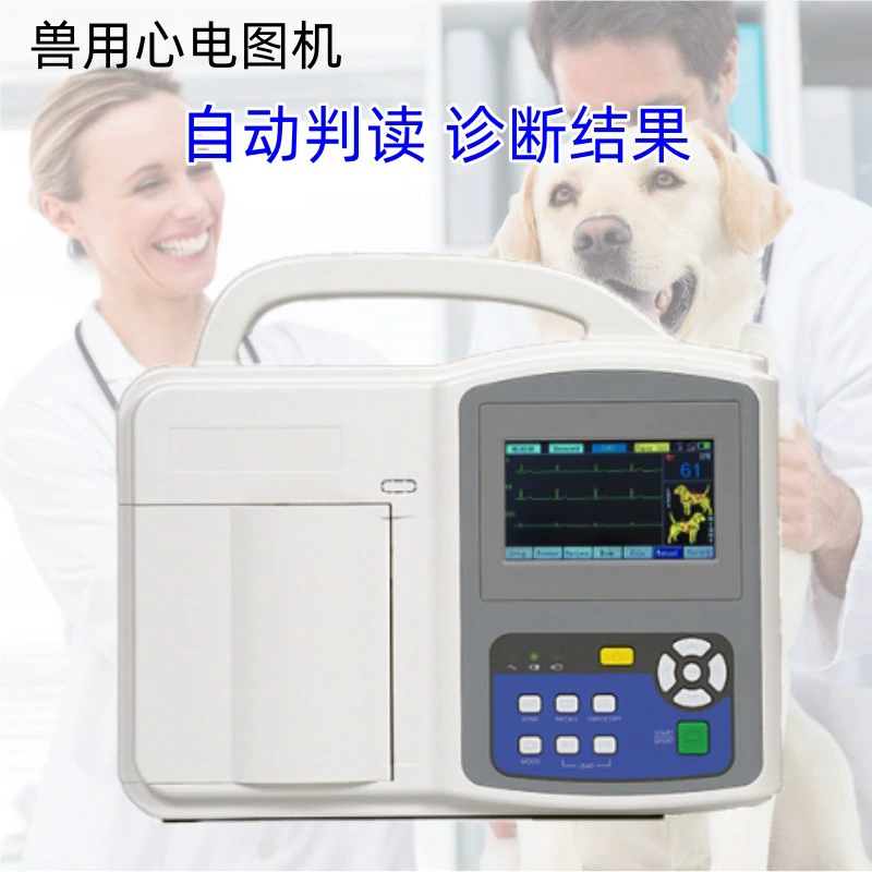 Weisi Bio Внешняя торговля Трансграничный ветеринарный аппарат ЭКГ для кошек и собак Трехканальный аппарат ЭКГ для животных может автоматически интерпретировать