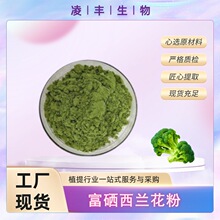 �������m����100ppm  ֲ���ЙC��  ���m����  ���S�F؛  ����ă�