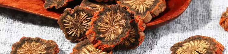 Purple Dan Shen Root Slices Zi Dan Shen Salvia miltiorrhiza Dried Sichuan Herb 500g for Decoction and Grinding key features