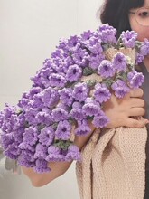 ë���h�õ�廨����̺diy���Ʋ��ϰ��ֹ��h������Y����Ů�ѶY��