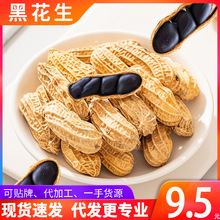 云南富硒黑花生可做种子带壳新鲜生吃黑紫皮花生黑花生米普洱特产