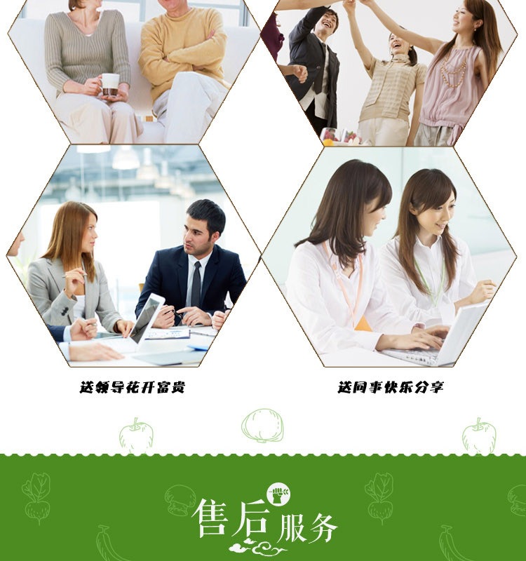 Huo Shan Tie Pi Shi Hu Powder 100g Fine Ground Dendrobium Powder Huoshan Origin specifications