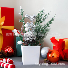 �¿�ʥ���ں��������滨С����ʥ����������ӹ�칫����������
