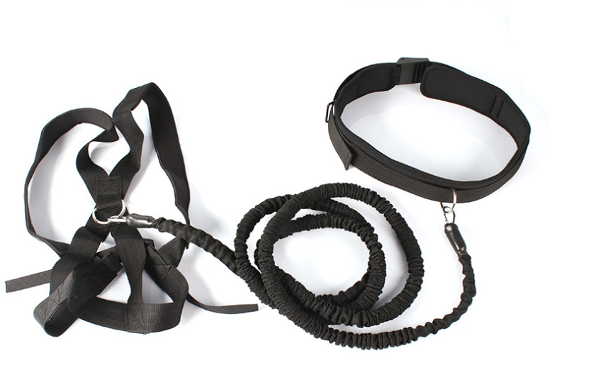 Resistance Training Bands Image 1