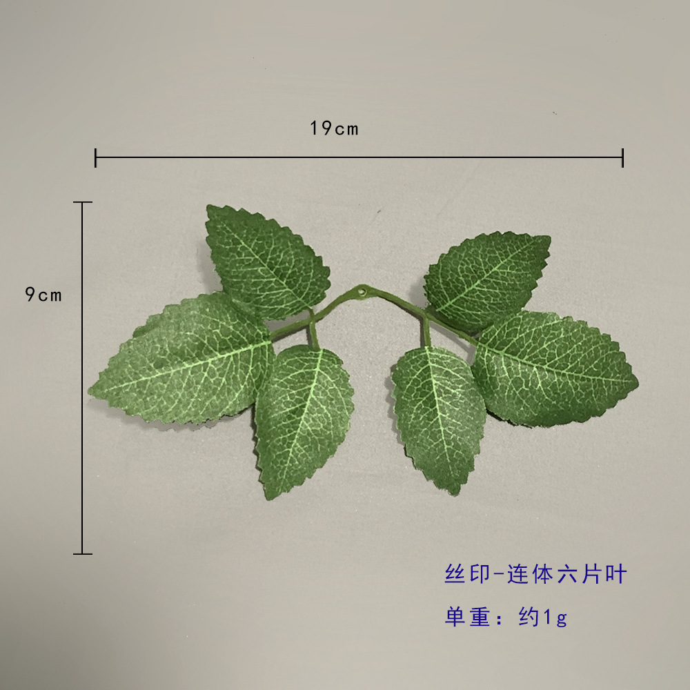 결합된 여섯잎 장미